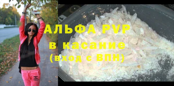 СК Белокуриха
