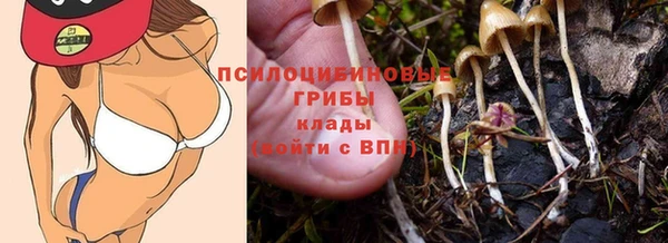 прущая мука Арсеньев