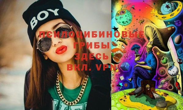 ПСИЛОЦИБИНОВЫЕ ГРИБЫ Рославль