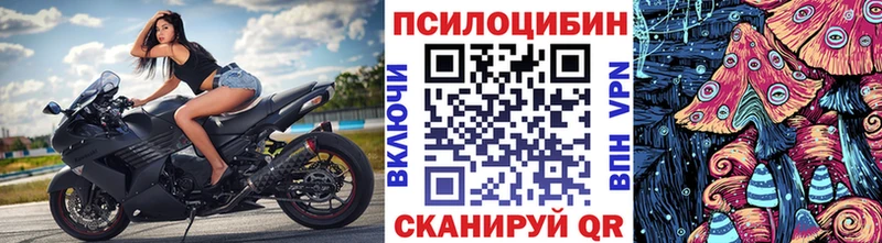 Псилоцибиновые грибы Psilocybe  ОМГ ОМГ ССЫЛКА  Кизел 